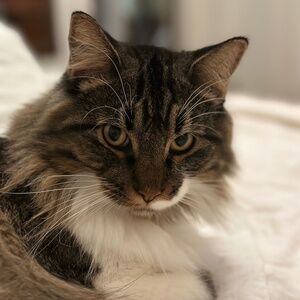 Meet your Posher, Genevieve.